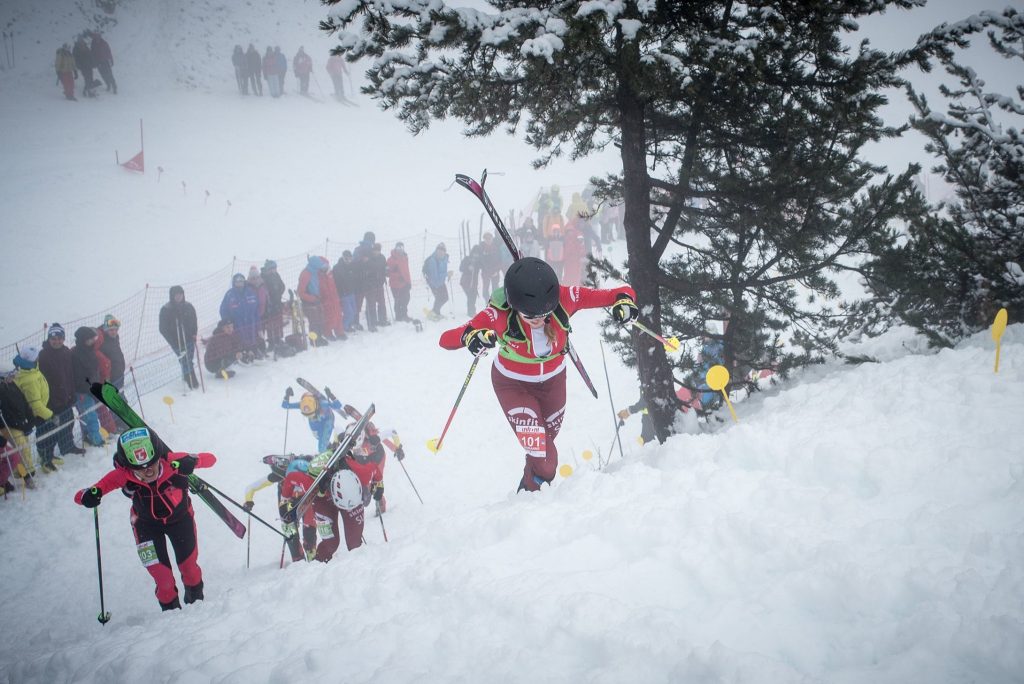 Viorel Palici Schi Alpinism