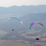 52952755_10156979419852334_1854613921189593088_n