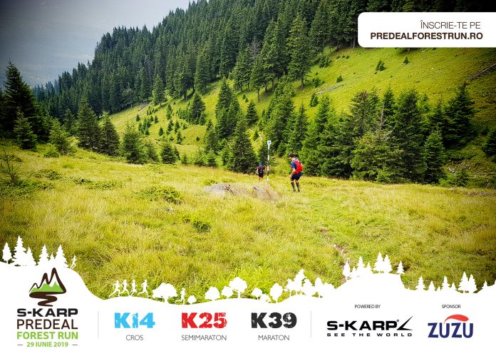 Predeal Forest Run ! Va puteti inscrie pentru Trail running! Traseul K39 are 38,5 km