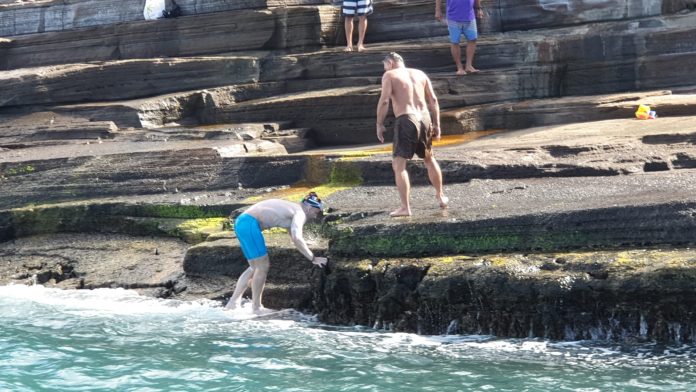 Paul Georgescu reprez
